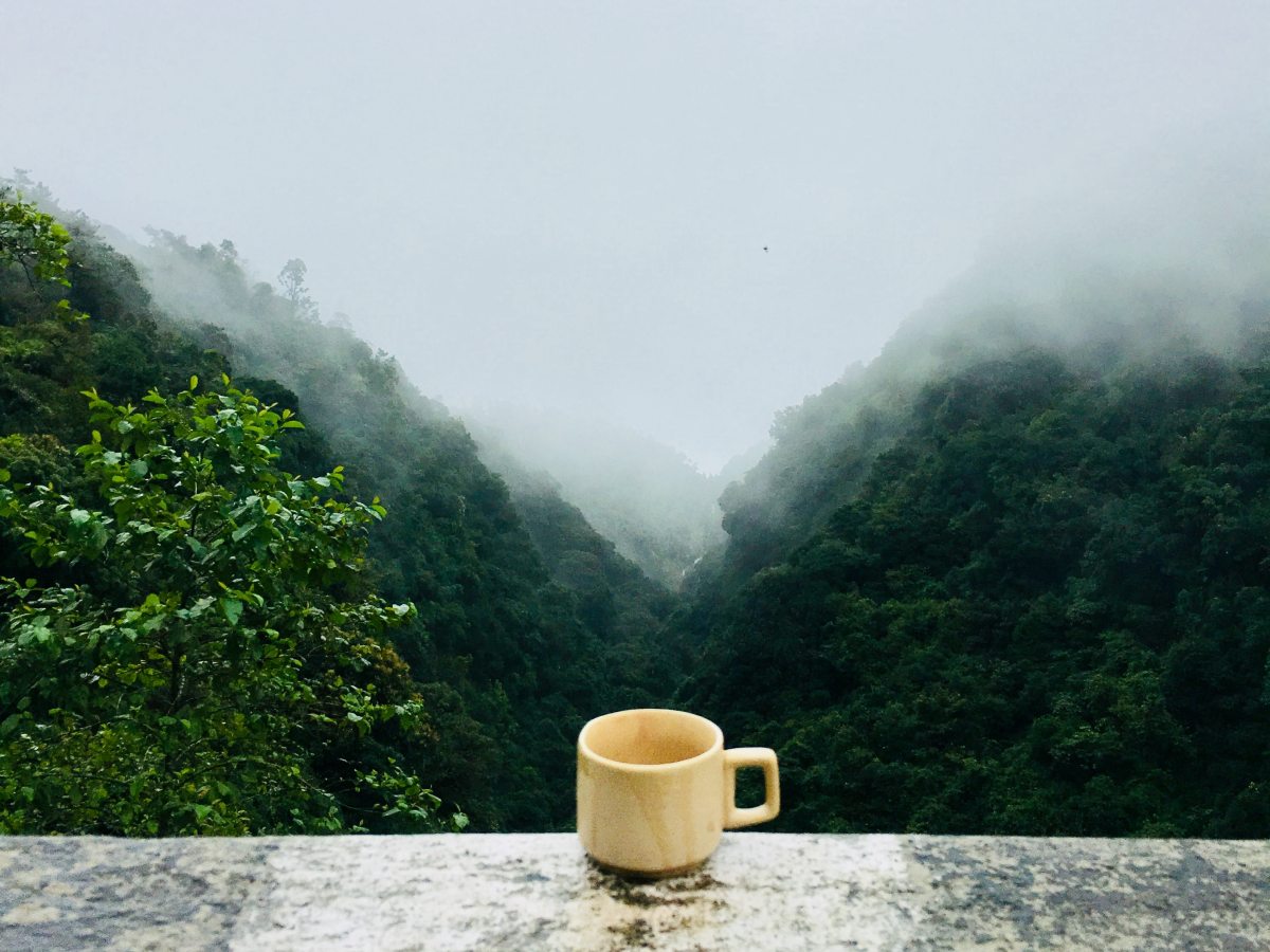 3 Reasons Why I Love&nbsp;Kombucha