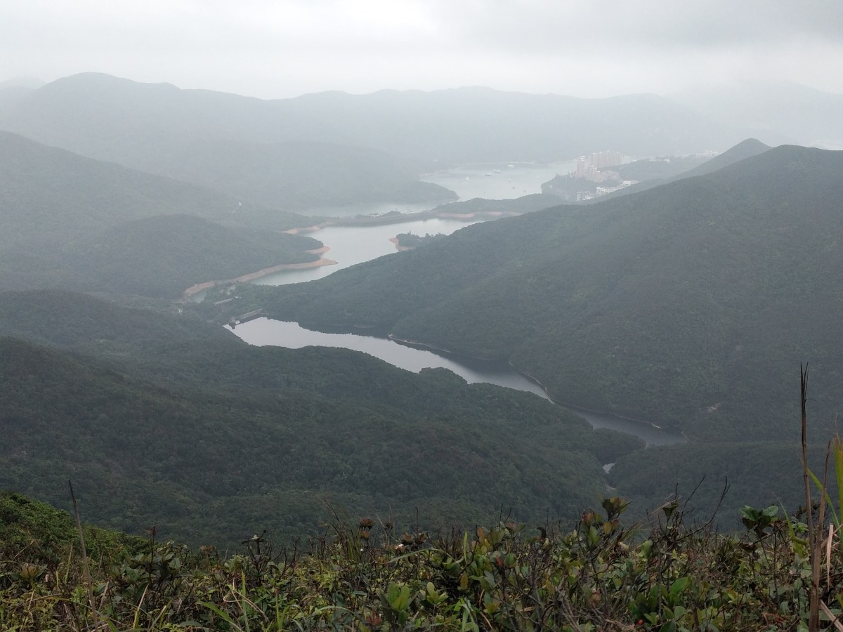 (Twin) Peaks and&nbsp;Valleys